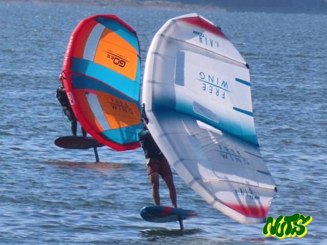 WingFoil ,ウイングフォイル
