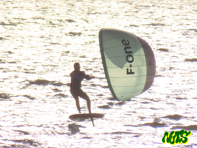 パラウイング　WingFoil