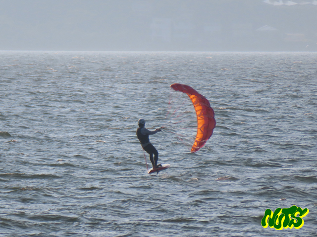 パラウイング　WingFoil